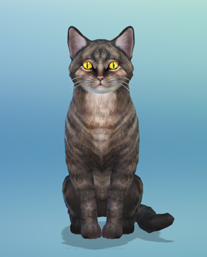 Project Simmy Launches: A Unique Way to Support Animal Welfare and Adopt a Virtual Pet for The Sims 4