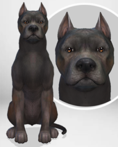 The Complete Guide on How to Adopt a Pet in Sims 4
